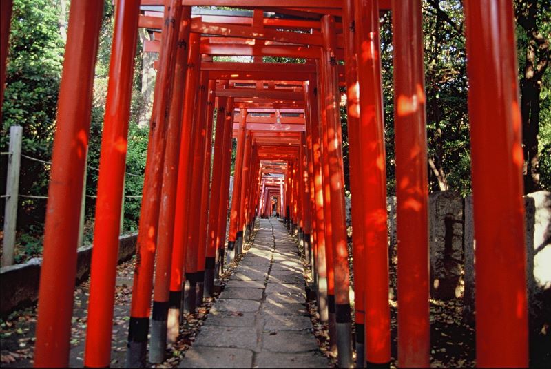 千本鳥居