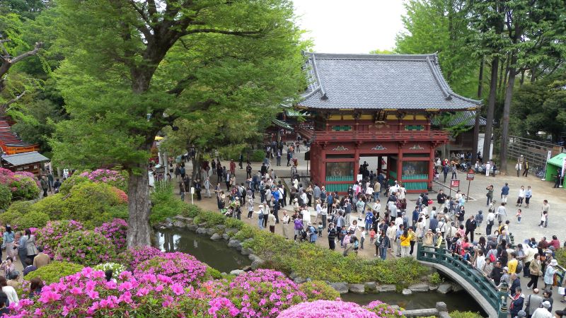 つつじが岡